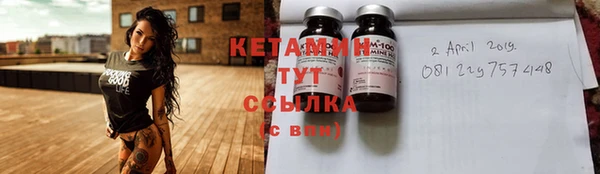 сатива Балахна