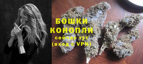 сатива Балахна