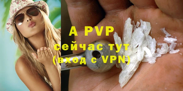 сатива Балахна