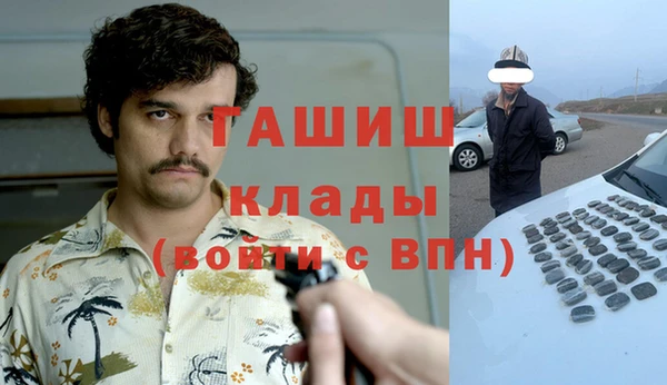 сатива Балахна